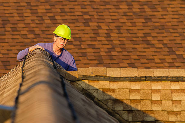 Best Roof Repair Services  in Mountain Iron, MN